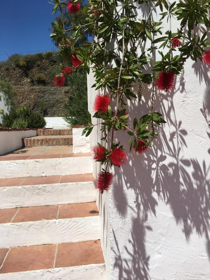 B&B And Apartments Cortijo La Zapatera Canillas de Aceituno Exterior foto