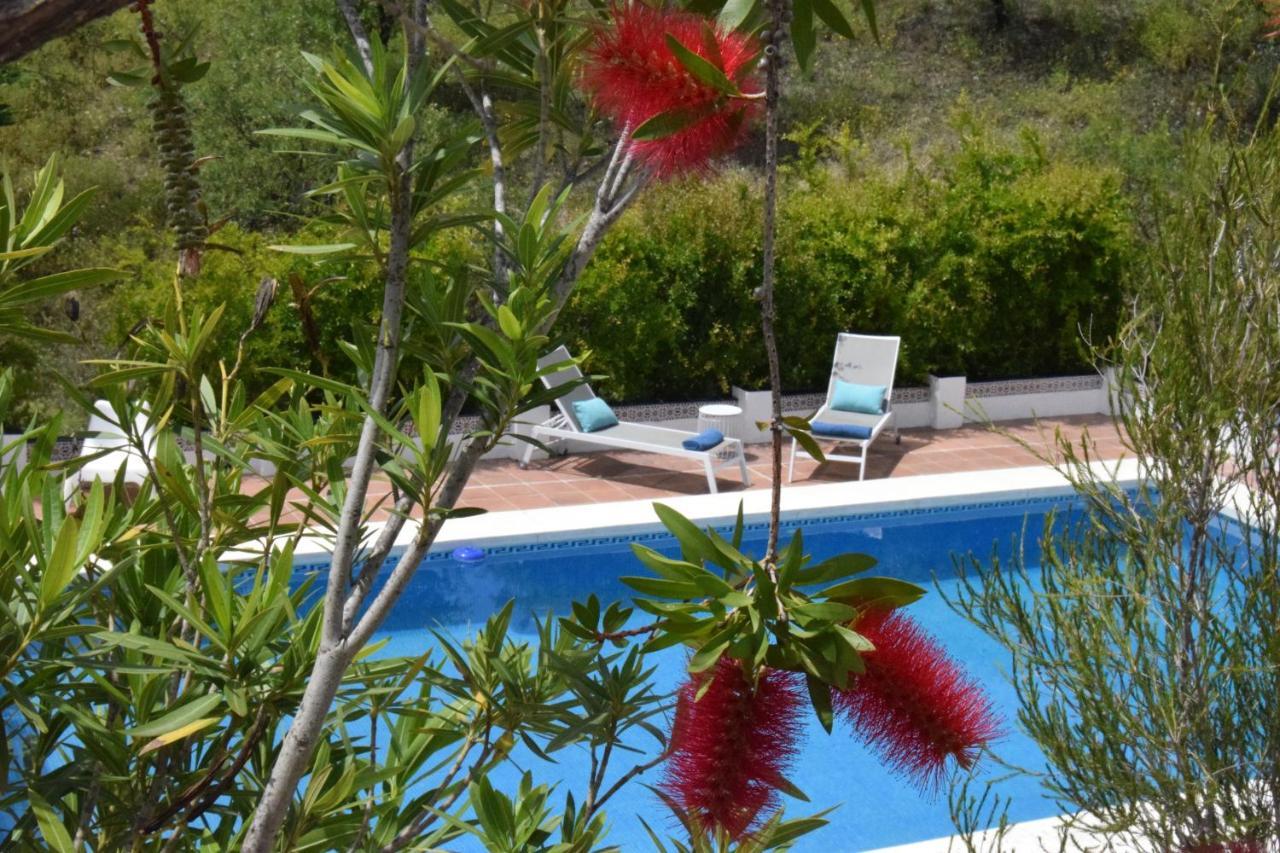 B&B And Apartments Cortijo La Zapatera Canillas de Aceituno Exterior foto